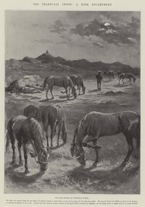 The Transvaal Crisis, a Boer Encampment